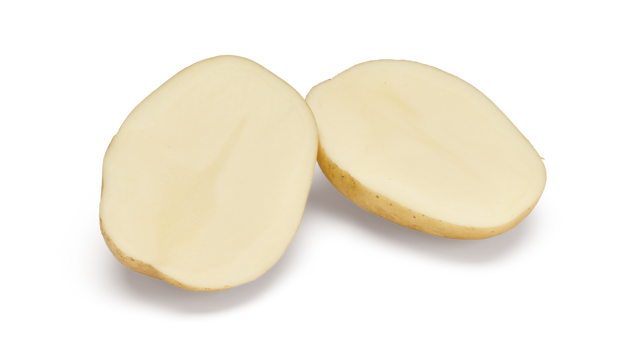 Arrow SNG CL®Agrico20