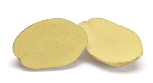 Vogue SNG CL®Agrico20