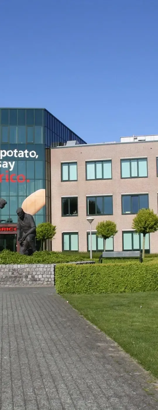 Foto Pand