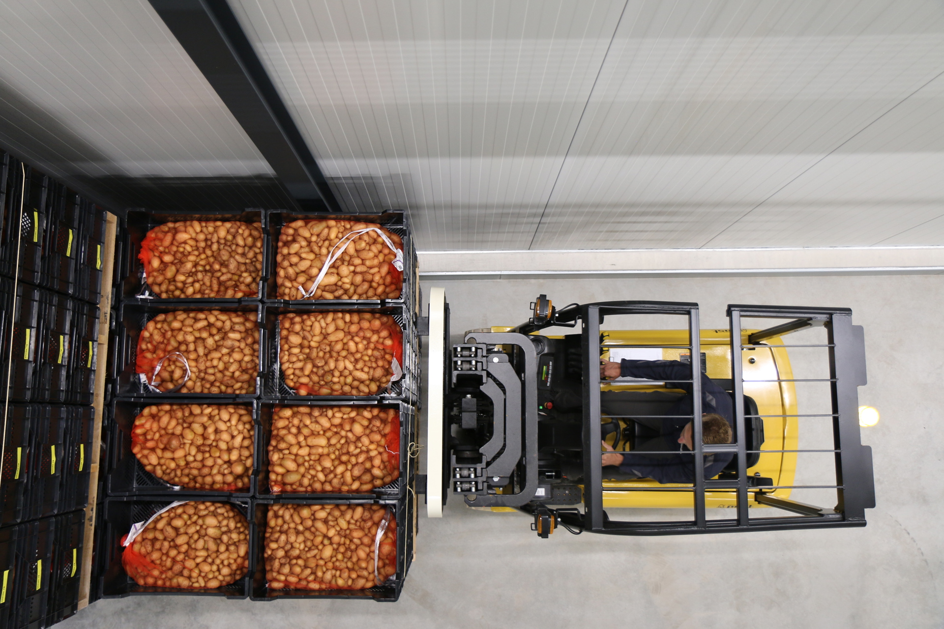 Miniknollen In Opslag