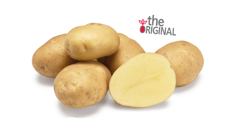 Agrico Original Fontane