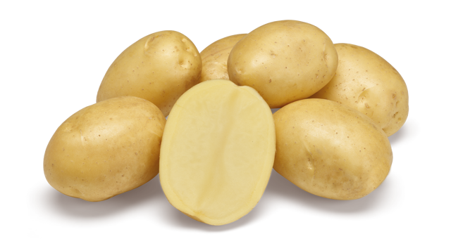 Spectra nestje met doorsnee