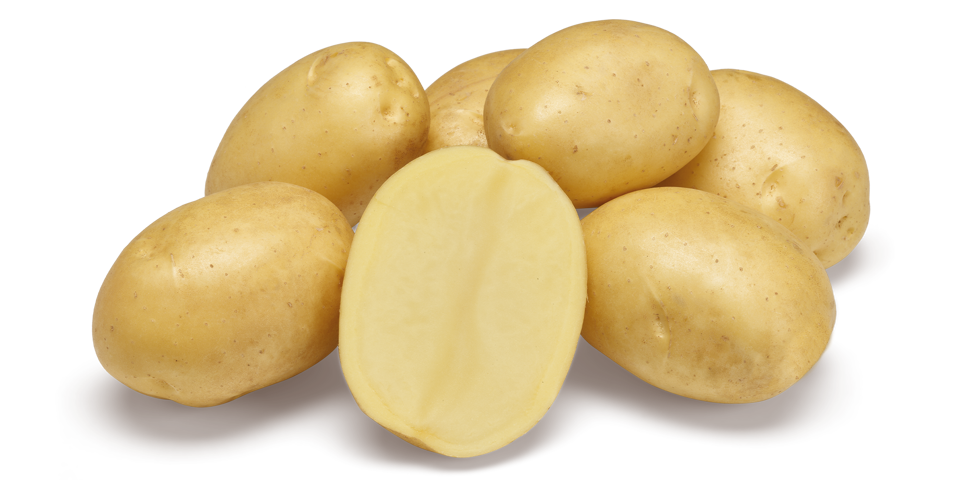 Spectra nestje met doorsnee