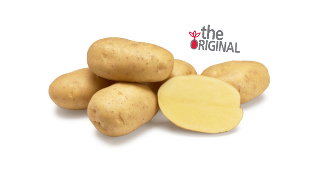 Agrico Original Agria