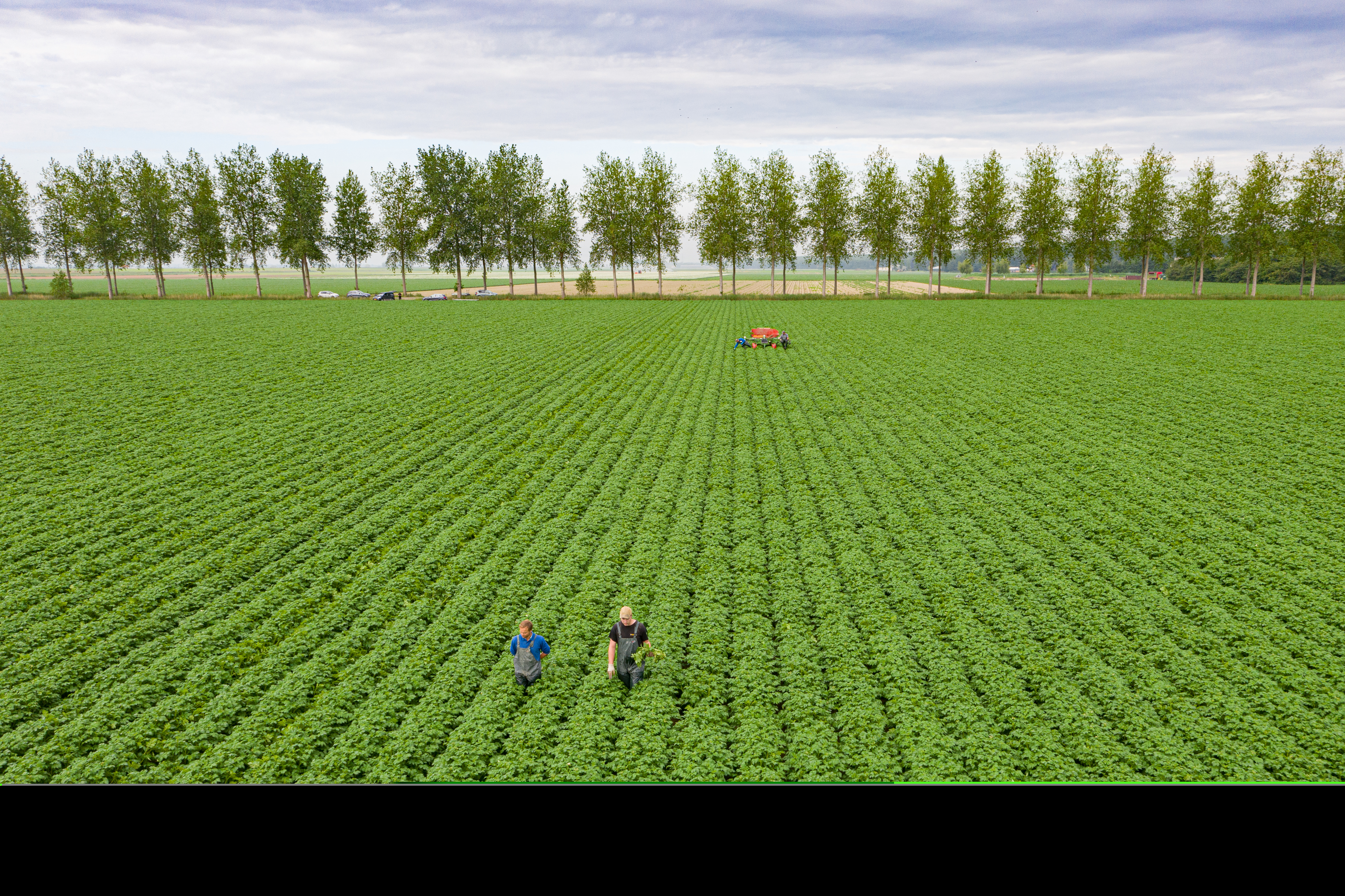 ©Klaas Eissens AV Producties Agrico Smits Selectie Fontane 17 06 20 2