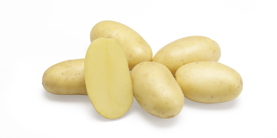 Feliz – pomme de terre à chair ferme demi-hâtive pour salades