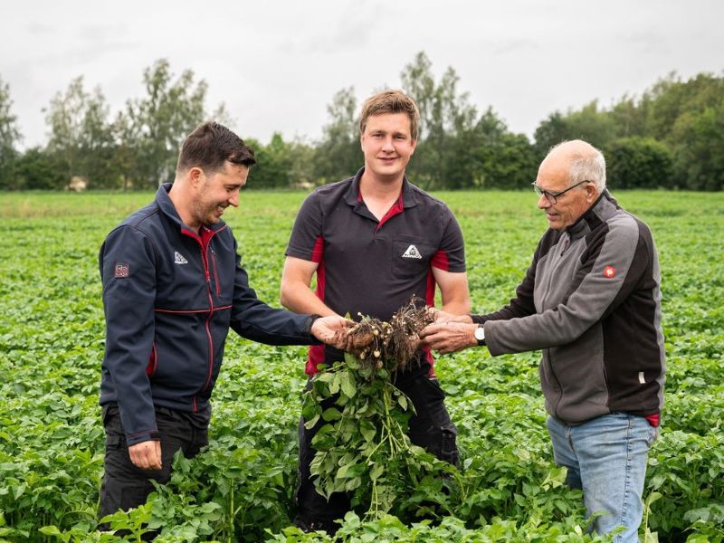 Reinds Albert Jan En Martin