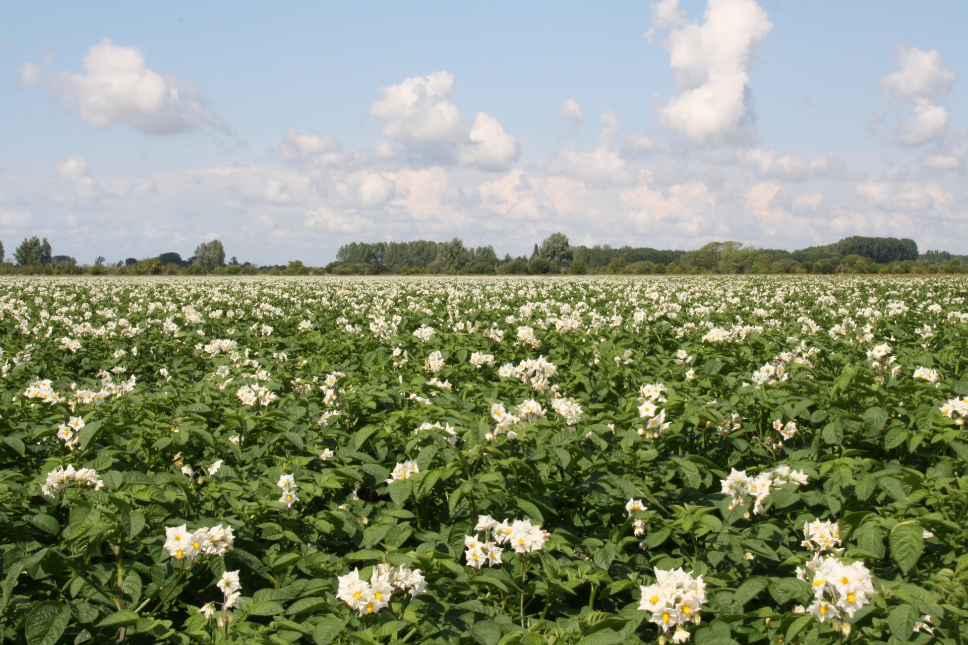 30 06 11 Uitbetalingsvergadering Kruisland 0390