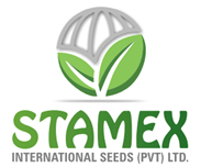 Logo Stamex