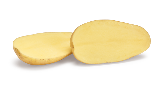 Pootaardappelras Chateau