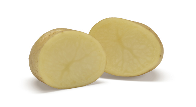 Pootaardappelras Paradiso Agrico