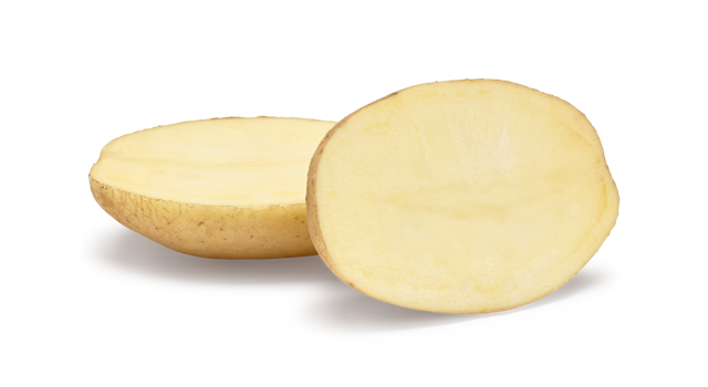 Websitefoto's HR Artemis SNG CL©Agrico20