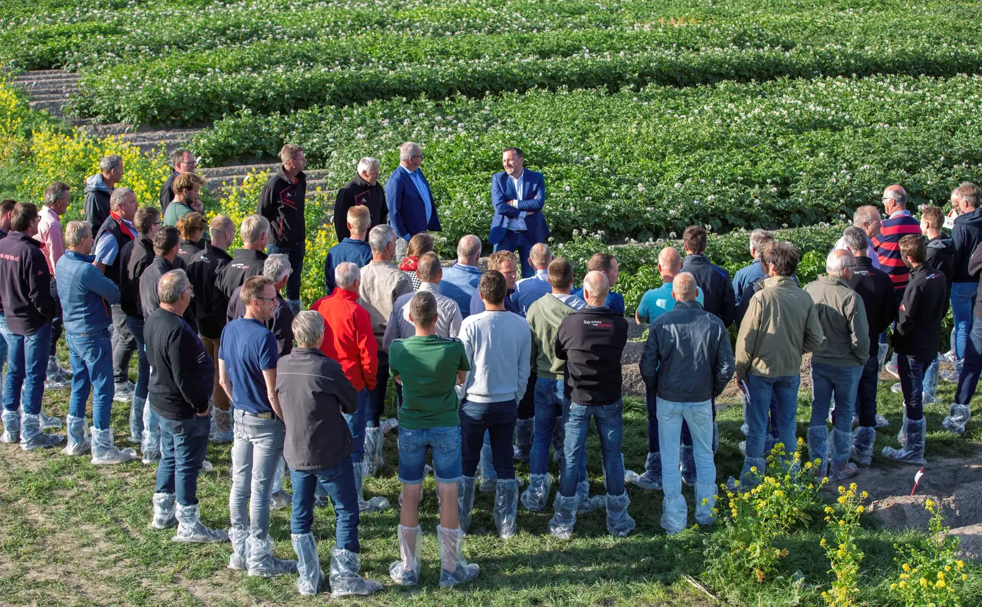 Growers group at demonstration field
