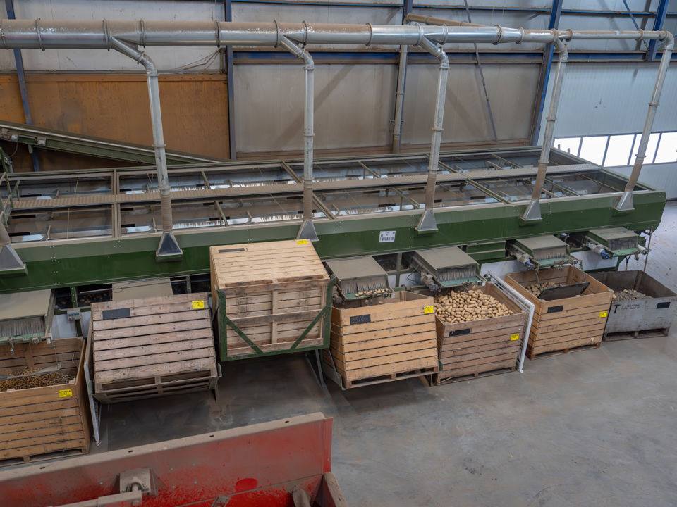 ©Klaas Eissens Agrico Potatomagazine Kampagro 09 10 25 19