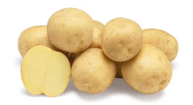 Aardappelras Constance