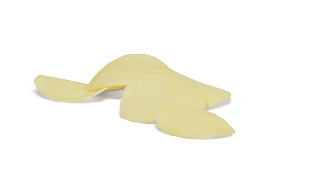 Beyonce CHP®Agrico20