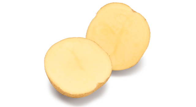 Websitefoto's HR Ardeche SNG CL©Agrico21