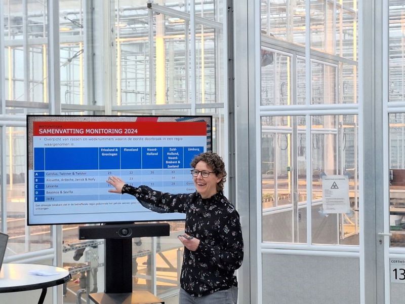 Phytophthora Nieuwsbericht Anita