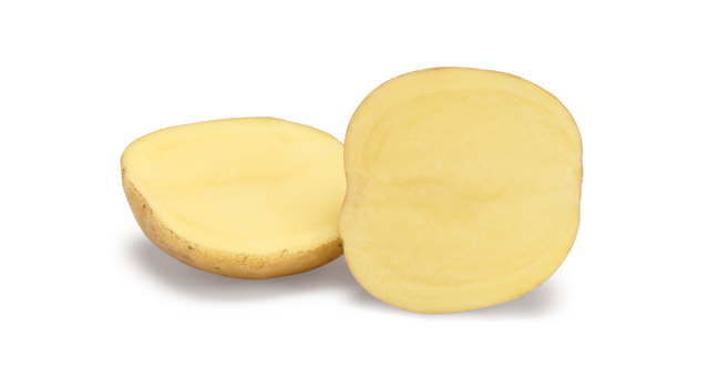 Pootaardappelras Twister