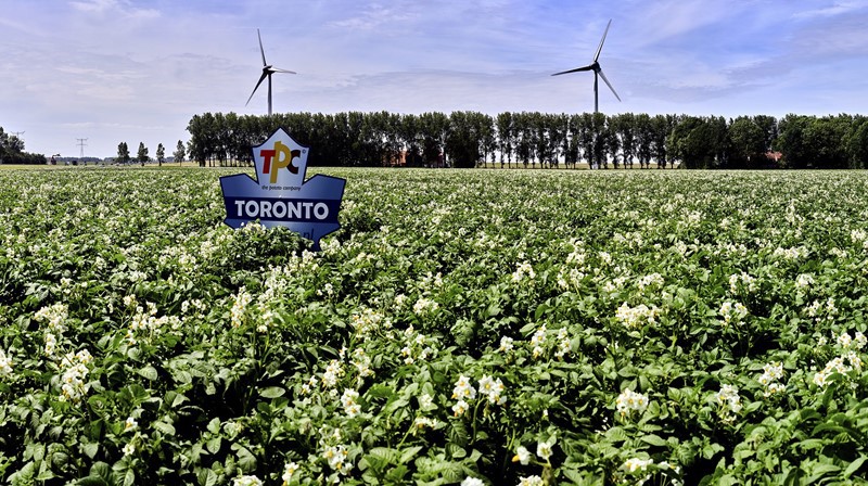 The Potato Company field sign