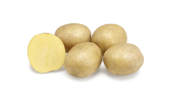 LR Chester GRB CL©Agrico20