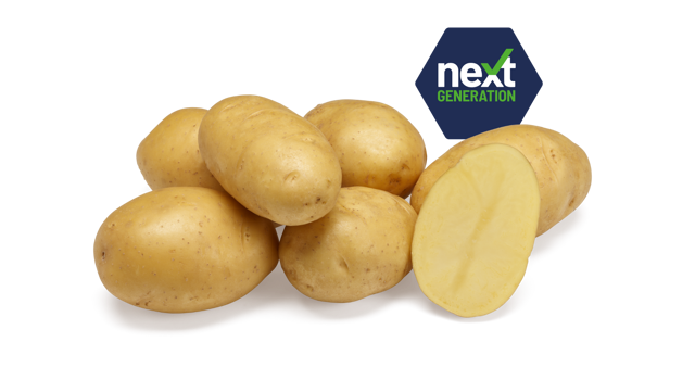 Next Generation Twinner