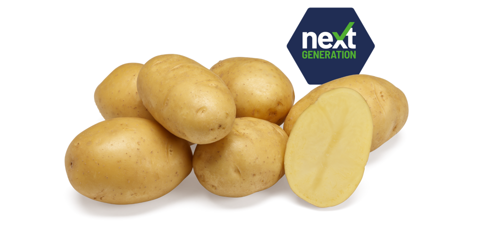 Next Generation Twinner