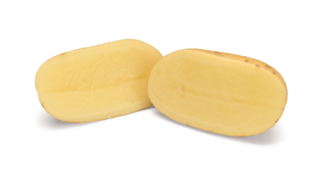 Pootaardappelras Levante