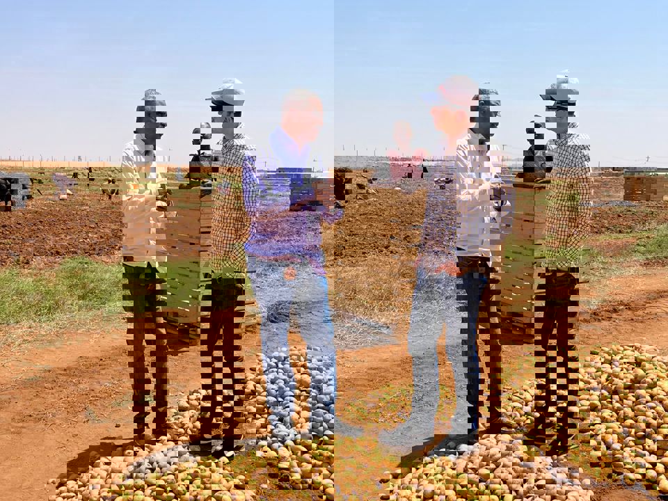 IMG 20230308 WA0002