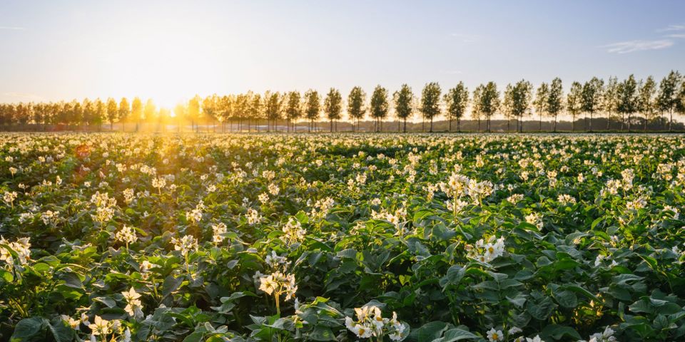 Stronger By Nature Agrico