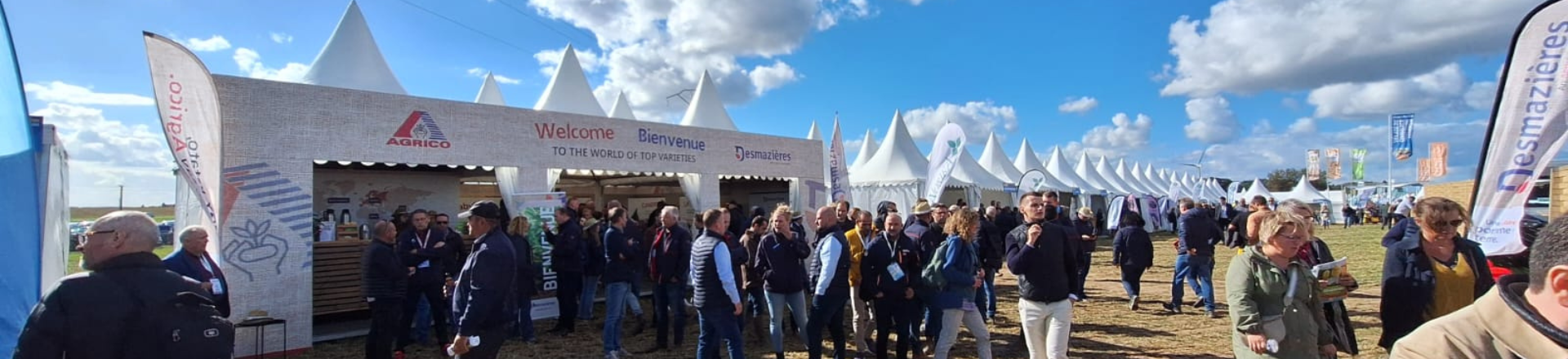 Potato Europe tents panorama