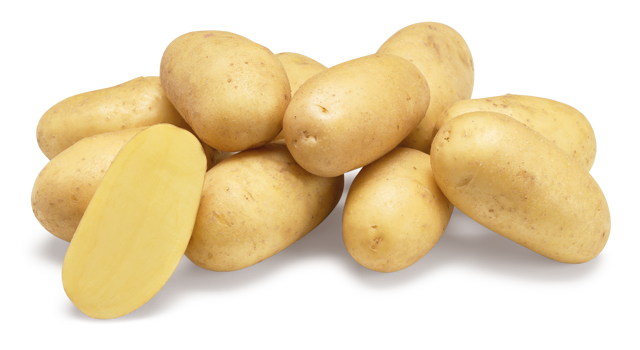 Aardappelras Chateau