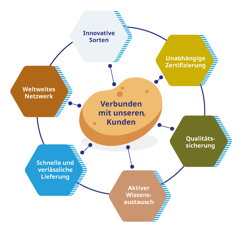 Spinnenweb Corporate Duits