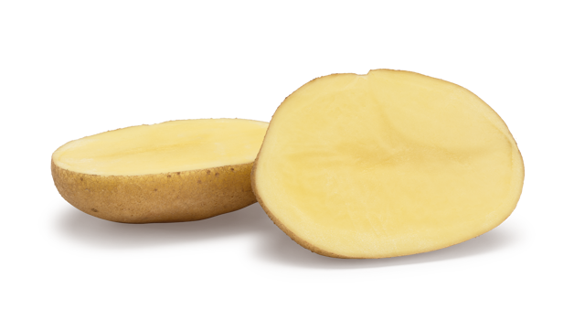Pootaardappelras Fontane