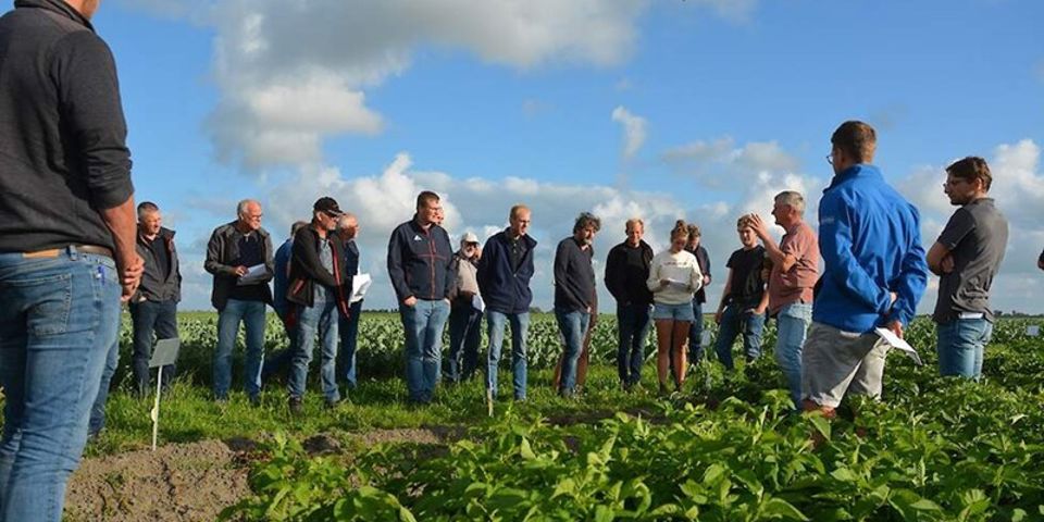 Robuuste Rassen Veld