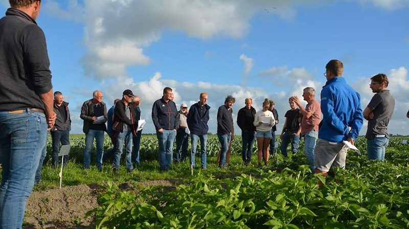 Robust varieties field visit