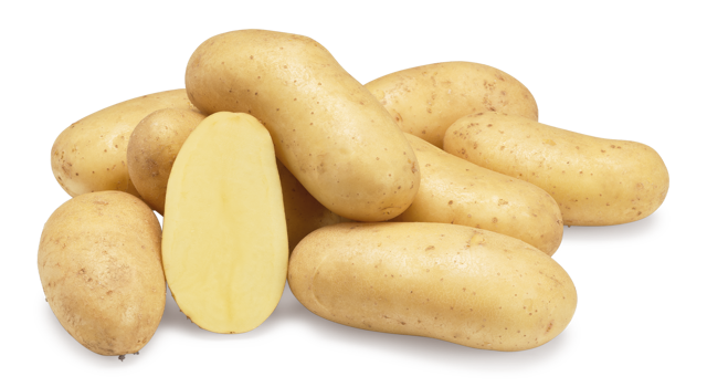 Aardappelras Erika