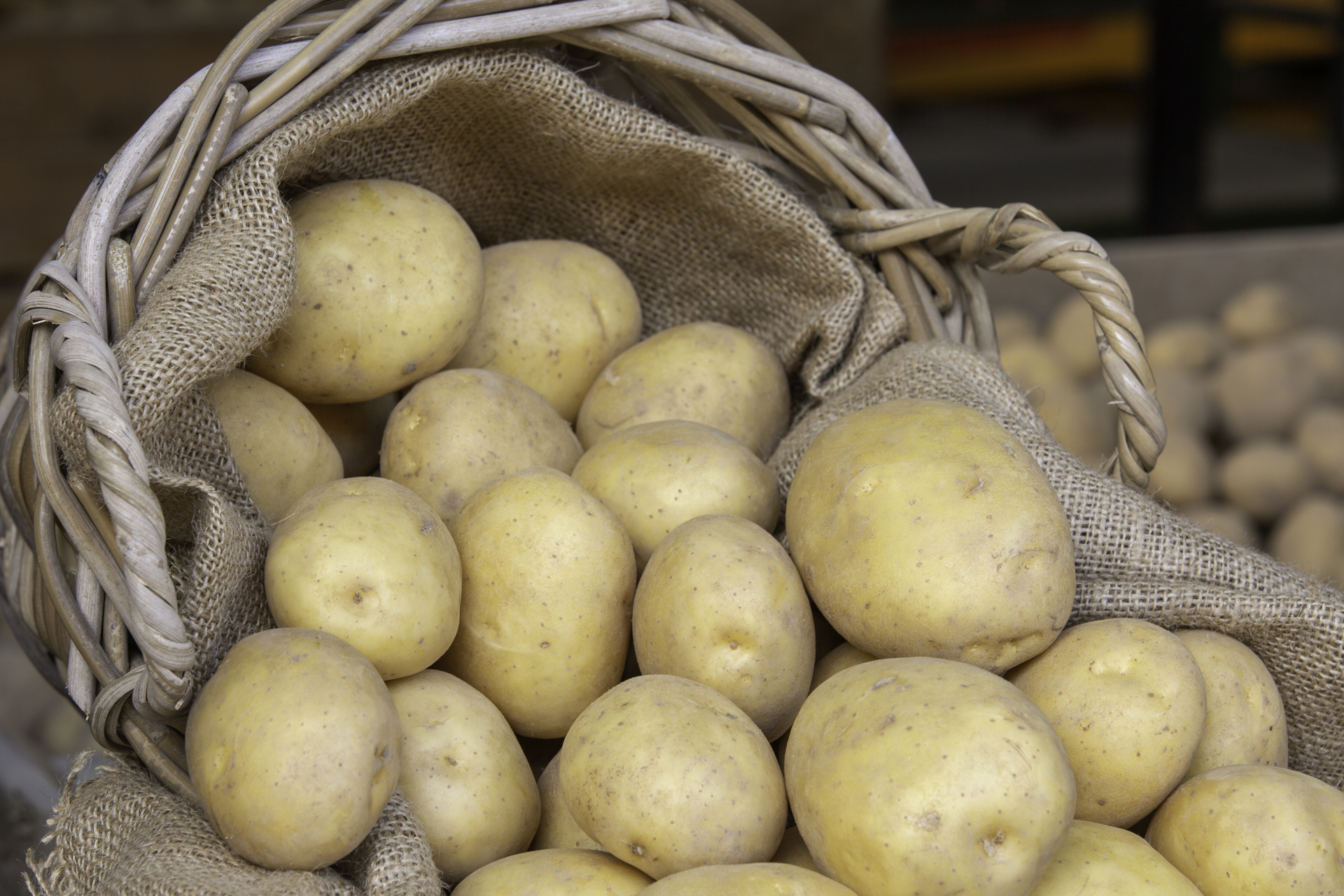 ©Klaas Eissens Agrico AR 10 10 19 Constance 14 (2)