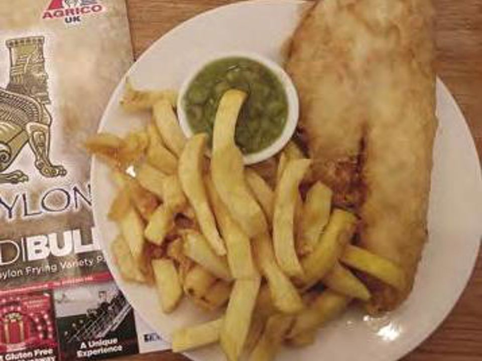 Friers Delight News Article