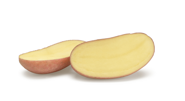 Cerisa SNG CL®Agrico20