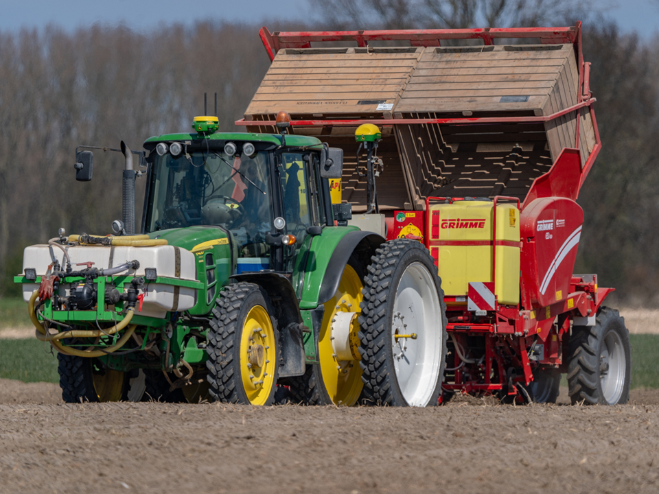 Planting seed potatoes with tractor