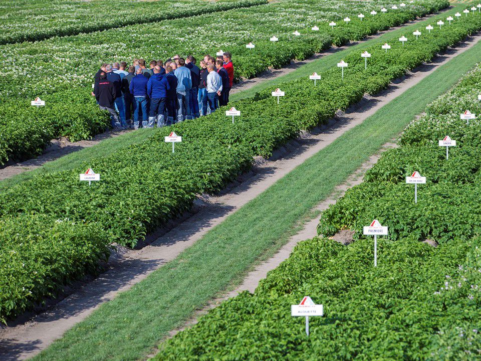 Klaas Eissens Agrico Rs 03 07 19 Boeren Demovelden 5 (1)