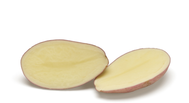 Meryem SNG CL®Agrico20