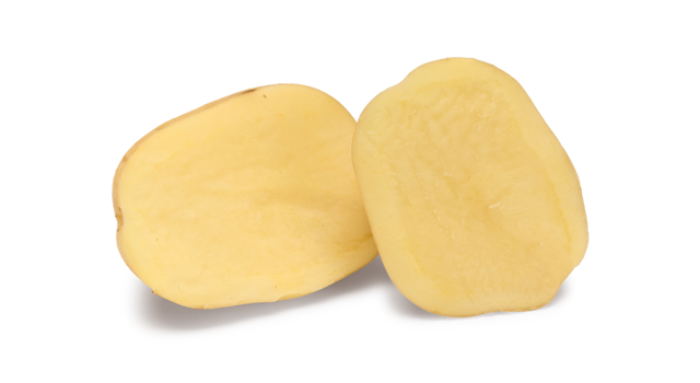 Adato CHK®Agrico20