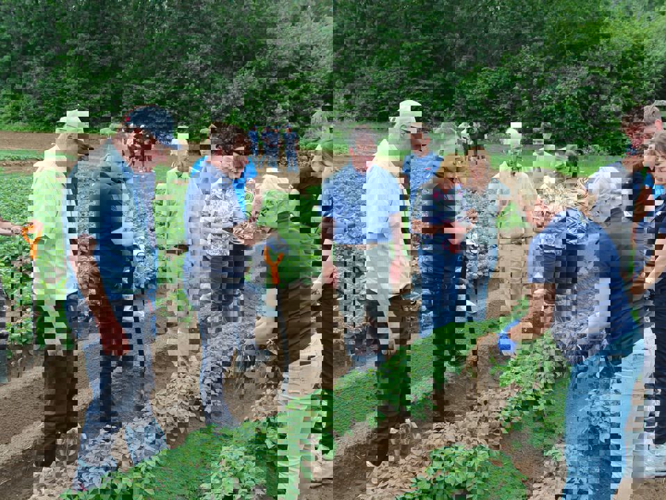 62568450 2251656564903088 8062628585053093888 N