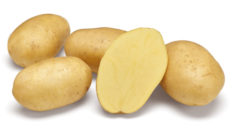 Vogue nestje met doorsnee