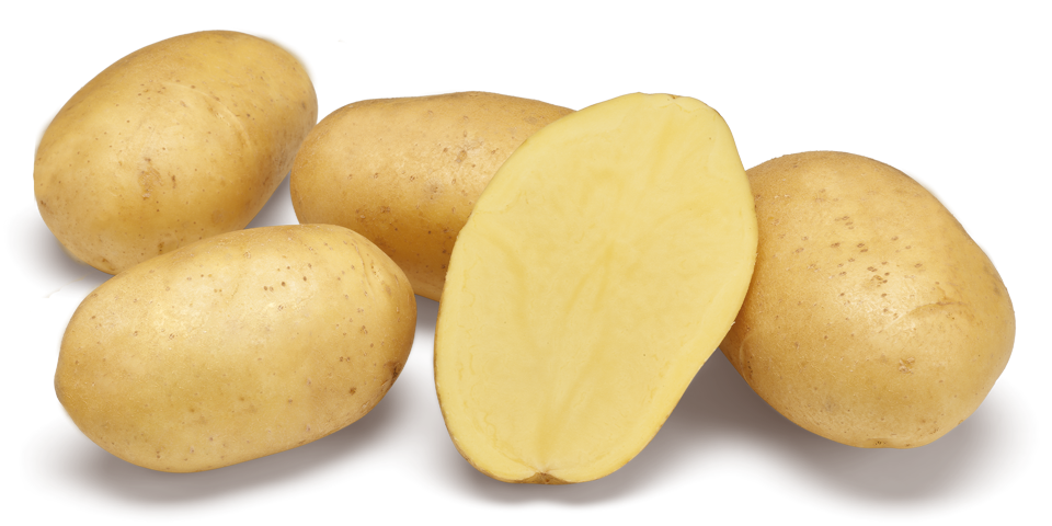 Vogue nestje met doorsnee