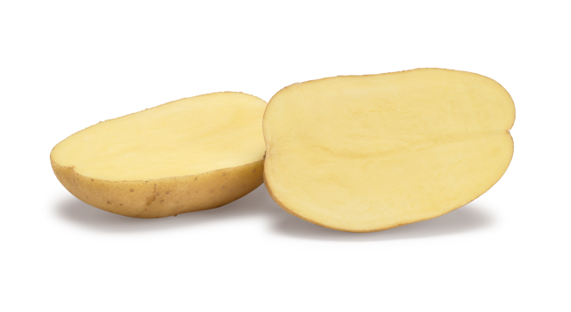 Pootaardappelras Lugano