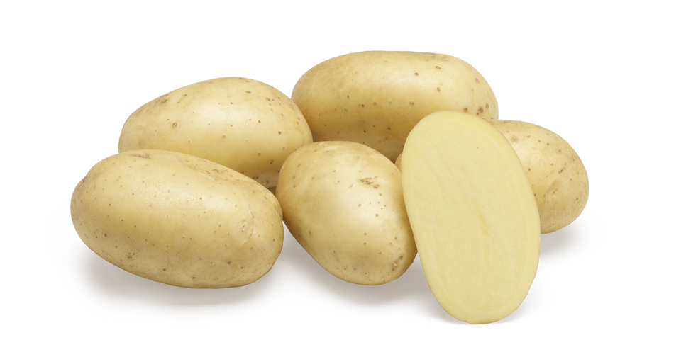 Jamaica – pomme de terre précoce pour le marché traditionnel et la vente au détail