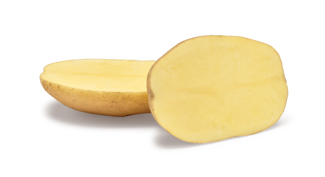 Pootaardappelras Agria